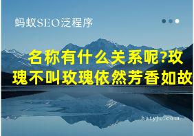 名称有什么关系呢?玫瑰不叫玫瑰依然芳香如故