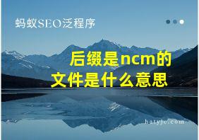 后缀是ncm的文件是什么意思