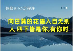 向日葵的花语入目无别人 四下皆是你,有你时