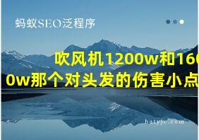 吹风机1200w和1600w那个对头发的伤害小点儿