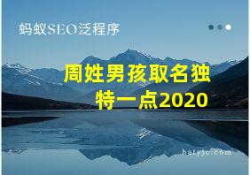 周姓男孩取名独特一点2020