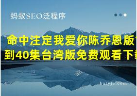 命中注定我爱你陈乔恩版1到40集台湾版免费观看下载