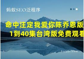 命中注定我爱你陈乔恩版1到40集台湾版免费观看