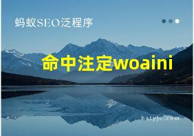 命中注定woaini