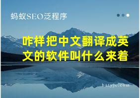 咋样把中文翻译成英文的软件叫什么来着