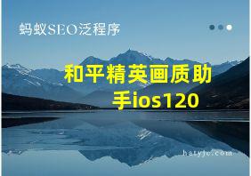 和平精英画质助手ios120