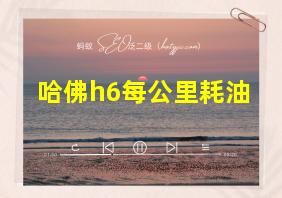 哈佛h6每公里耗油