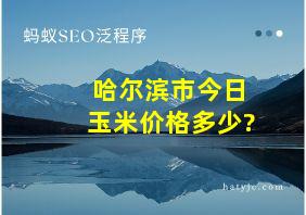 哈尔滨市今日玉米价格多少?