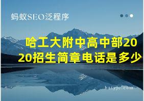 哈工大附中高中部2020招生简章电话是多少