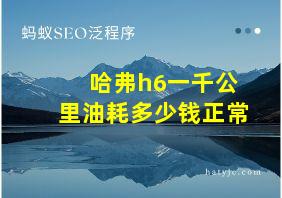 哈弗h6一千公里油耗多少钱正常