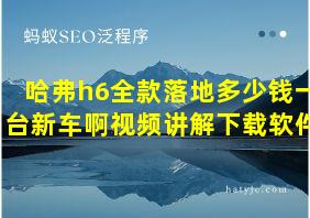 哈弗h6全款落地多少钱一台新车啊视频讲解下载软件