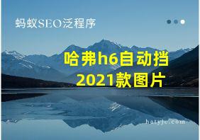 哈弗h6自动挡2021款图片