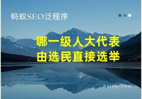 哪一级人大代表由选民直接选举