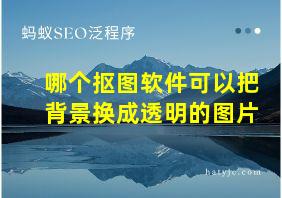 哪个抠图软件可以把背景换成透明的图片