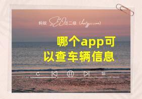 哪个app可以查车辆信息