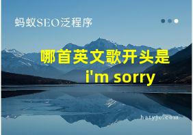 哪首英文歌开头是i'm sorry