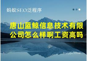 唐山蓝鲸信息技术有限公司怎么样啊工资高吗