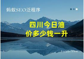 四川今日油价多少钱一升