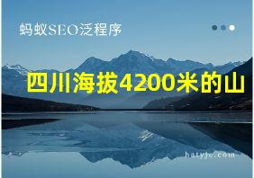 四川海拔4200米的山