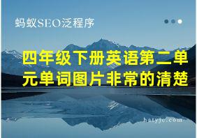 四年级下册英语第二单元单词图片非常的清楚