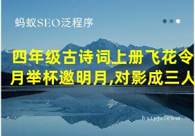 四年级古诗词上册飞花令月举杯邀明月,对影成三人