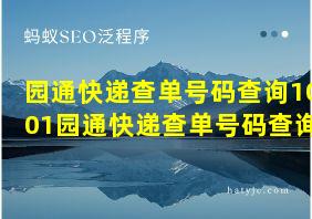 园通快递查单号码查询1001园通快递查单号码查询