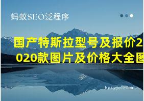 国产特斯拉型号及报价2020款图片及价格大全图