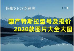 国产特斯拉型号及报价2020款图片大全大图