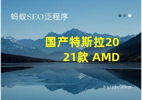 国产特斯拉2021款 AMD