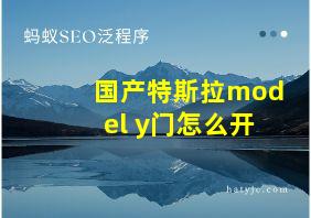 国产特斯拉model y门怎么开