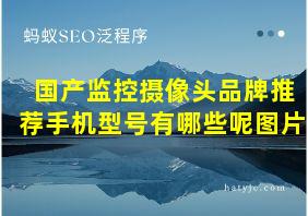 国产监控摄像头品牌推荐手机型号有哪些呢图片