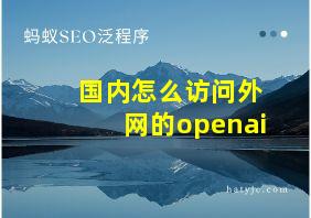 国内怎么访问外网的openai