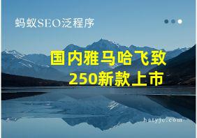 国内雅马哈飞致250新款上市