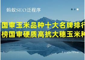 国审玉米品种十大名牌排行榜国审硬质高抗大穗玉米种