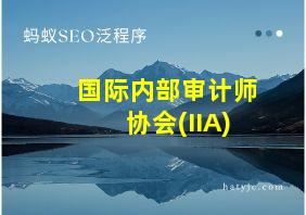 国际内部审计师协会(IIA)