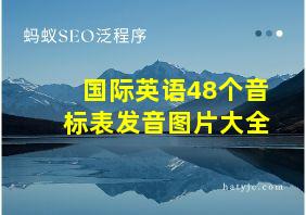 国际英语48个音标表发音图片大全