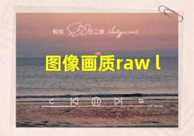 图像画质raw+l