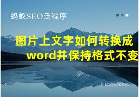 图片上文字如何转换成word并保持格式不变