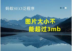 图片大小不能超过3mb