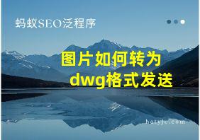 图片如何转为dwg格式发送