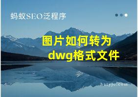 图片如何转为dwg格式文件