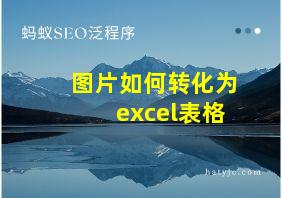 图片如何转化为excel表格