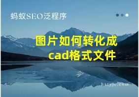 图片如何转化成cad格式文件