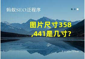 图片尺寸358,441是几寸?