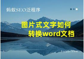 图片式文字如何转换word文档