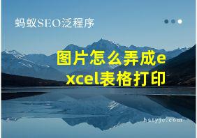 图片怎么弄成excel表格打印