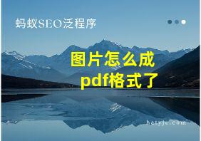 图片怎么成pdf格式了