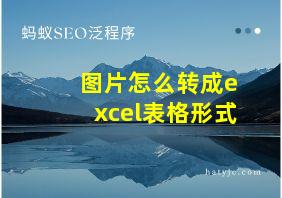 图片怎么转成excel表格形式