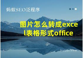 图片怎么转成excel表格形式office