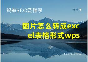 图片怎么转成excel表格形式wps